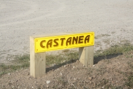 Castanea rear plate