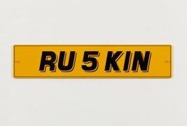 Ruskin. Two Pack Enamel on Brass. 11cm x 52 cm. 2011