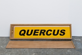 quercus-2-part-of-the-named-trees-of-london-stove-enamel-on-brass-2007