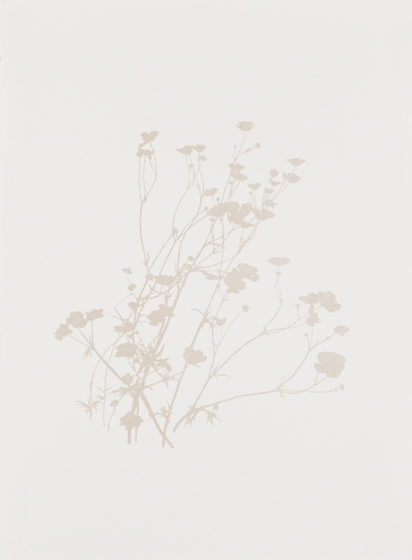 work on paper by Edward Chell